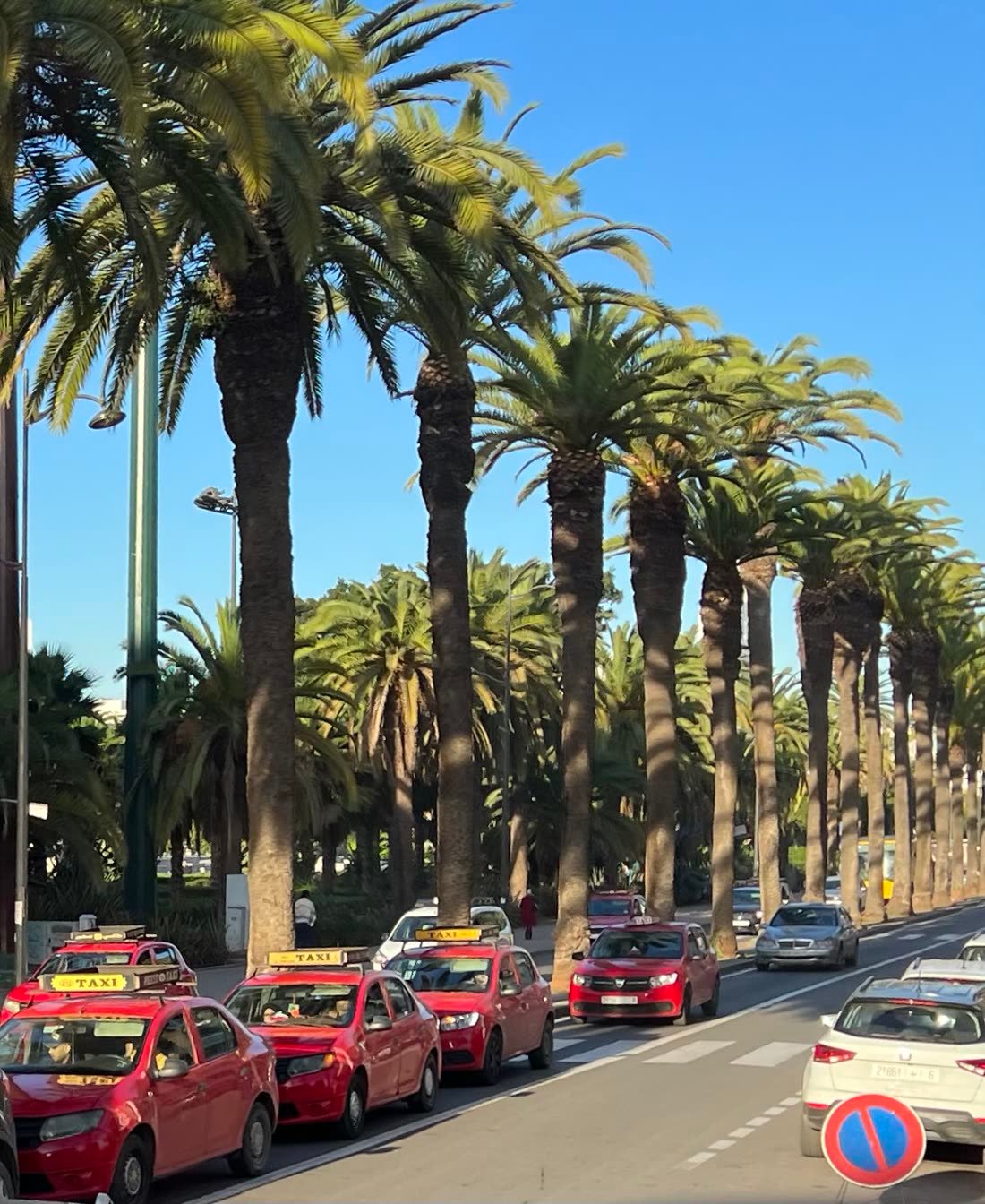 Taxis rouges alignés sous les palmiers d'un boulevard de Casablanca